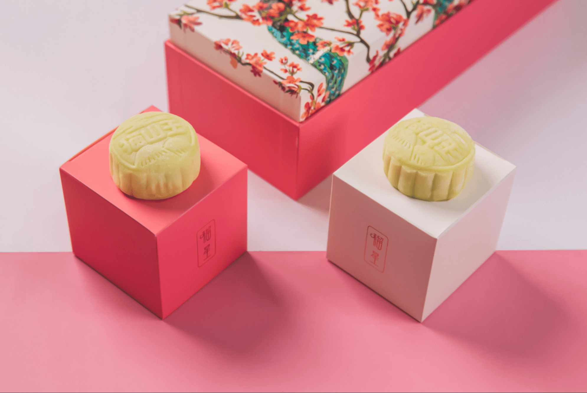 Mooncake